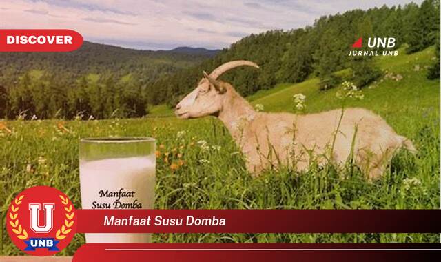 Inilah 10 Manfaat manfaat susu domba yang Bikin Kamu Penasaran