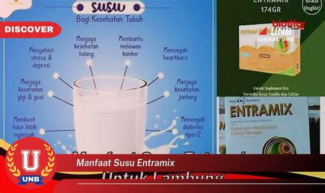 Temukan 10 Manfaat manfaat susu entramix yang Wajib Kamu Intip