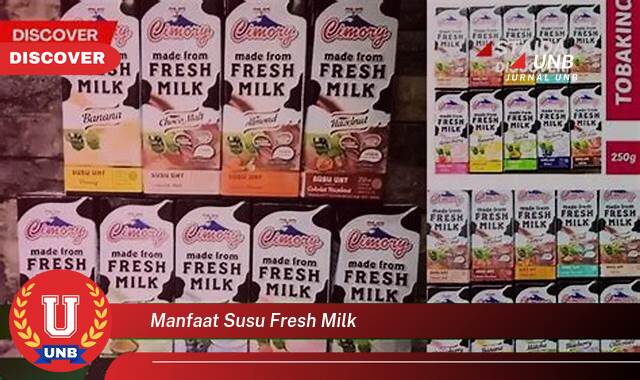9 Manfaat manfaat susu fresh milk yang tidak Semua Orang Tau
