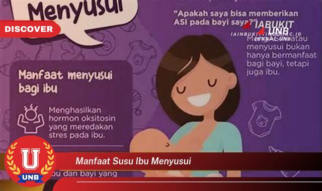 Inilah 8 Manfaat manfaat susu ibu menyusui yang tidak Semua Orang Tau
