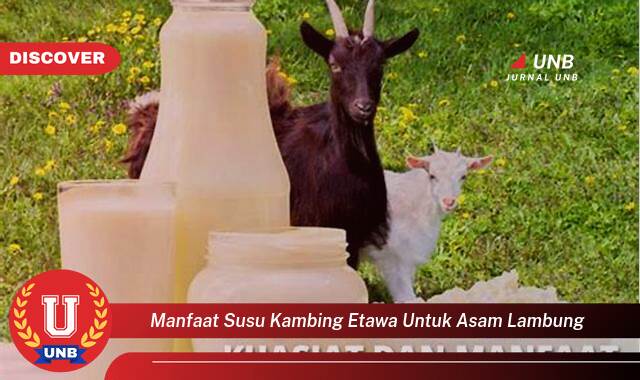 Temukan 9 Manfaat Susu Kambing Etawa untuk Asam Lambung, Redakan Gejala dan Rasakan Kenyamanan