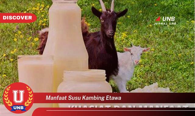 Temukan 8 Manfaat Susu Kambing Etawa untuk Kesehatan Tubuh Anda Temukan 8 Manfaat Susu Kambing Etawa untuk Kesehatan Tubuh Anda