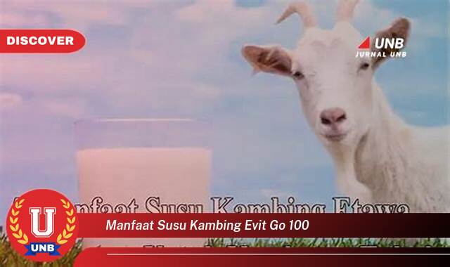 Temukan 9 Manfaat Susu Kambing E,vit Go 100 yang Tidak Semua Orang Tau