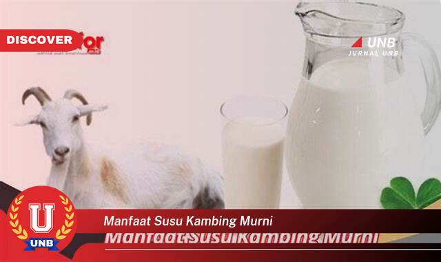 Temukan 9 Manfaat Susu Kambing Murni untuk Kesehatan Tubuh Anda