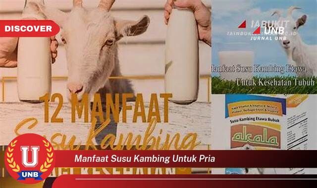 Temukan 10 Manfaat Susu Kambing untuk Pria, Meningkatkan Kesehatan dan Vitalitas