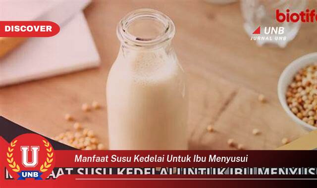 Temukan 10 Manfaat Susu Kedelai untuk Ibu Menyusui, Meningkatkan Produksi ASI dan Kesehatan Bayi