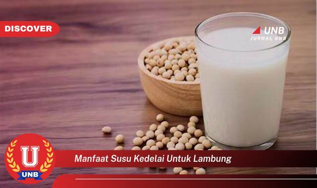 Temukan 10 Manfaat Susu Kedelai untuk Lambung,  Meredakan Maag, Asam Lambung, dan Gangguan Pencernaan Lainnya