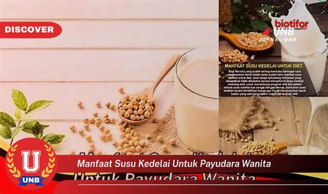 Ketahui 10 Manfaat Susu Kedelai untuk Payudara Wanita