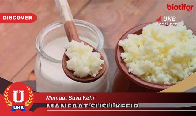 Temukan 10 Manfaat Susu Kefir untuk Kesehatan, Kecantikan, dan Cara Mengonsumsinya