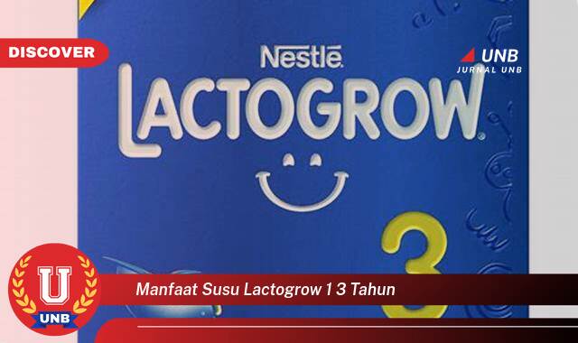 Temukan 9 Manfaat Susu Lactogrow 1,3 Tahun untuk Tumbuh Kembang Optimal Si Kecil