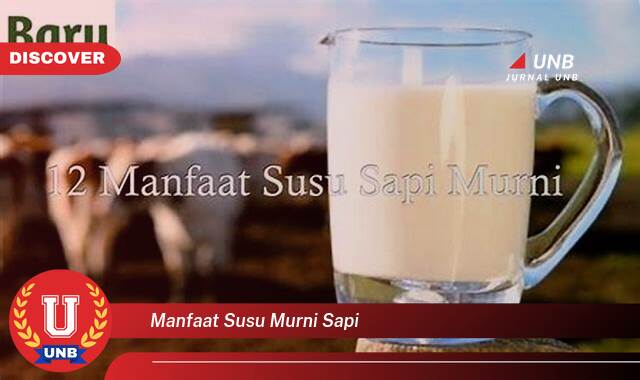 Inilah 8 Manfaat Susu Murni Sapi yang Tidak Semua Orang Tau