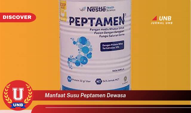 Inilah 8 Manfaat manfaat susu peptamen dewasa yang tidak Semua Orang Tau
