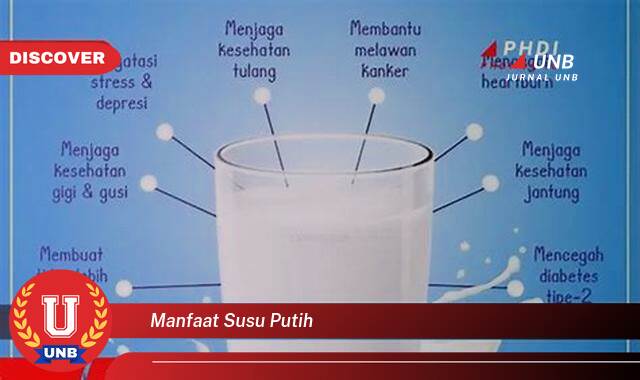 Temukan 8 Manfaat Susu Putih untuk Kesehatan Tubuh dan Kecantikan