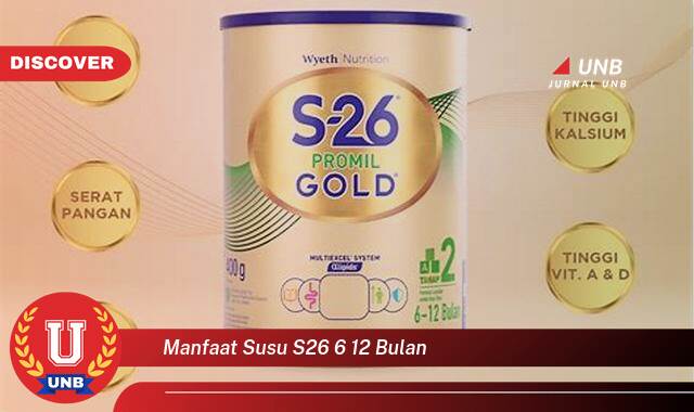 Temukan 10 Manfaat Susu S26 6,12 Bulan untuk Tumbuh Kembang Optimal Si Kecil