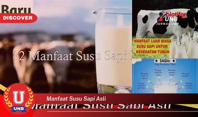 8 Manfaat manfaat susu sapi asli yang tidak Semua Orang Tau