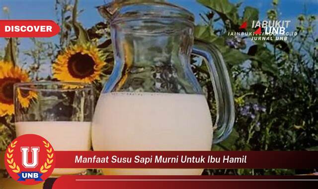 Ketahui 9 Manfaat manfaat susu sapi murni untuk ibu hamil yang Wajib Kamu Intip