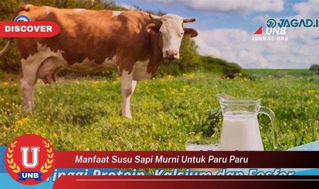 Temukan 8 Manfaat Susu Sapi Murni untuk Paru,Paru yang Wajib Kamu Ketahui