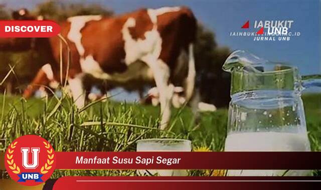 9 Manfaat manfaat susu sapi segar yang Wajib Kamu Intip