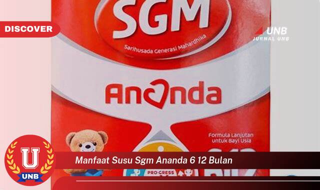 Temukan 8 Manfaat manfaat susu sgm ananda 6 12 bulan yang Wajib kamu ketahui