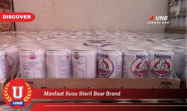 9 Manfaat Susu Steril Bear Brand yang Bikin Kamu Penasaran