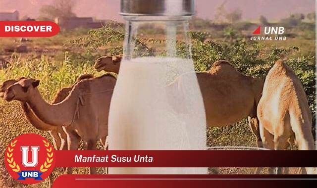 Inilah 9 Manfaat Susu Unta yang Bikin Kamu Penasaran