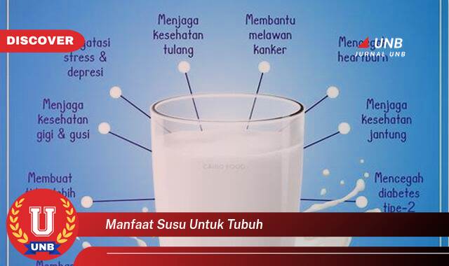 Inilah 9 Manfaat manfaat susu untuk tubuh yang tidak Semua Orang Tau