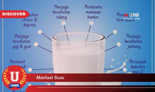 Temukan 10 Manfaat Susu, Dari Meningkatkan Kesehatan Tulang Hingga Menjaga Daya Tahan Tubuh Temukan 10 Manfaat Susu, Dari Meningkatkan Kesehatan Tulang Hingga Menjaga Daya Tahan Tubuh