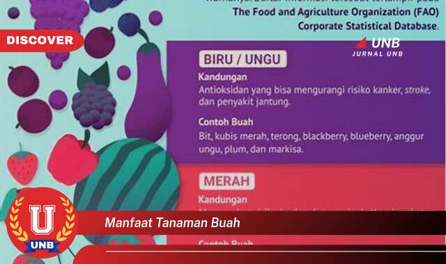 8 Manfaat manfaat tanaman buah yang Wajib Kamu Intip