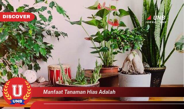 Temukan 9 Manfaat Tanaman Hias untuk Kesehatan dan Kecantikan Rumah Anda