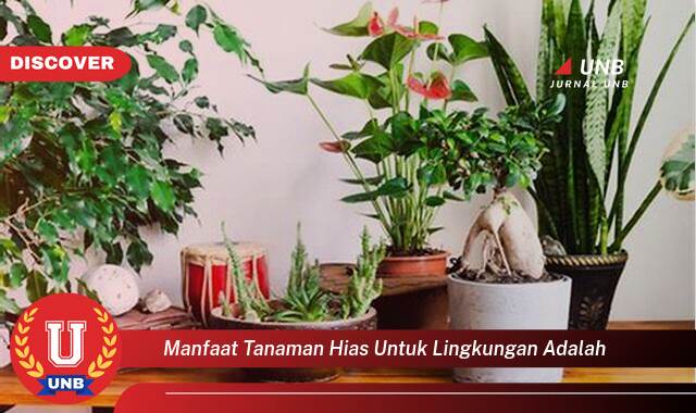 Temukan 10 Manfaat Tanaman Hias untuk Lingkungan,  Sejukkan Rumah dan Planet Anda