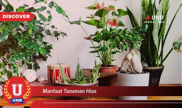 Temukan 8 Manfaat Tanaman Hias untuk Rumah Anda, Kesehatan, Kecantikan, dan Keharmonisan