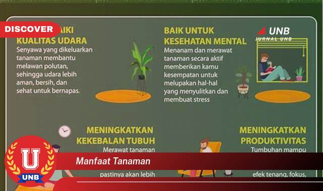 Temukan 9 Manfaat Tanaman untuk Kesehatan, Kecantikan, dan Rumah Anda