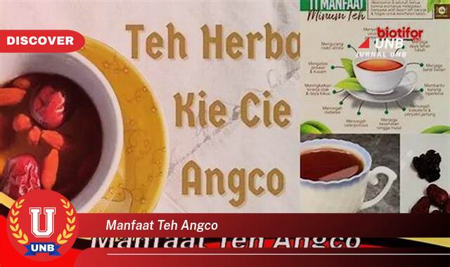Ketahui 10 Manfaat manfaat teh angco yang Bikin Kamu Penasaran