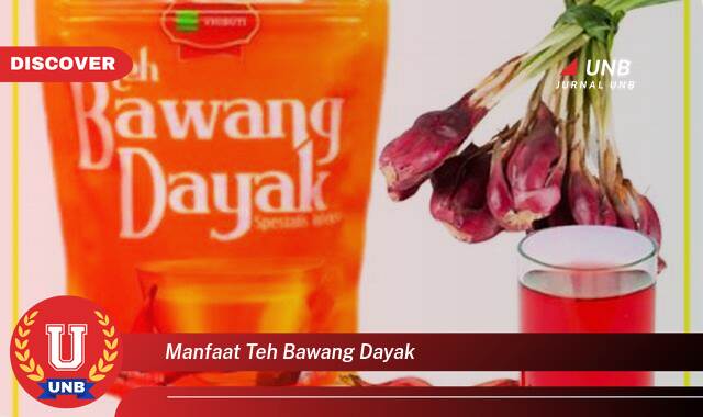 Inilah 9 Manfaat manfaat teh bawang dayak yang tidak Semua Orang Tau