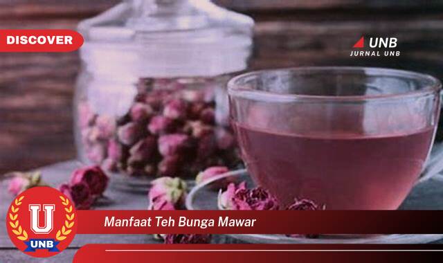Temukan 10 Manfaat manfaat teh bunga mawar yang Bikin Kamu Penasaran