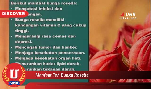 Temukan 8 Manfaat Teh Bunga Rosella untuk Kesehatan, Kecantikan, dan Cara Mengolahnya