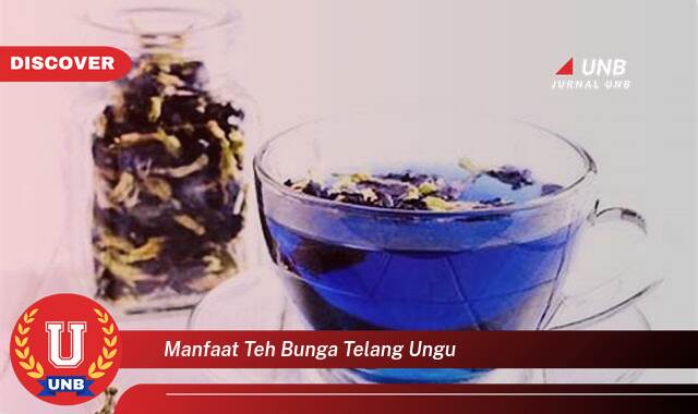 9 Manfaat manfaat teh bunga telang ungu yang Bikin Kamu Penasaran