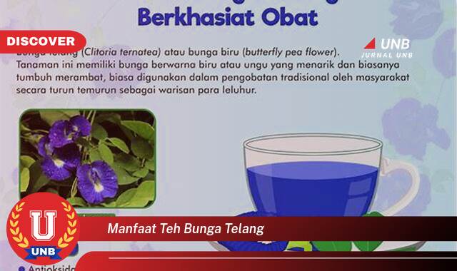 Temukan 8 Manfaat Teh Bunga Telang untuk Kesehatan dan Kecantikan Anda Temukan 8 Manfaat Teh Bunga Telang untuk Kesehatan dan Kecantikan Anda