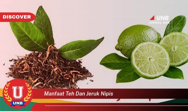 Inilah 8 Manfaat manfaat teh dan jeruk nipis yang Wajib kamu ketahui