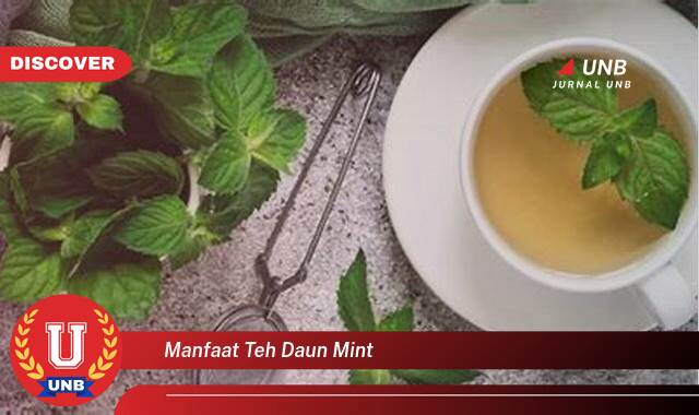 Inilah 10 Manfaat manfaat teh daun mint yang Jarang Diketahui