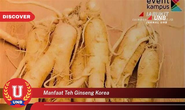 Inilah 9 Manfaat Teh Ginseng Korea yang Wajib Kamu Ketahui