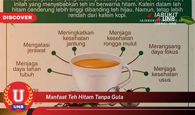 Inilah 9 Manfaat manfaat teh hitam tanpa gula yang Wajib kamu ketahui