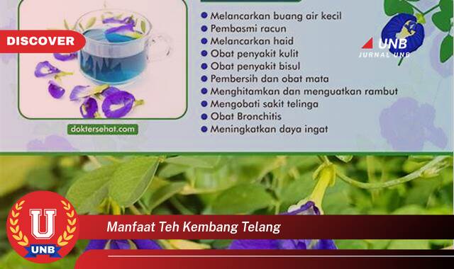 Inilah 9 Manfaat manfaat teh kembang telang yang Wajib kamu ketahui