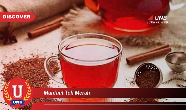 Ketahui 8 Manfaat manfaat teh merah yang Bikin Kamu Penasaran