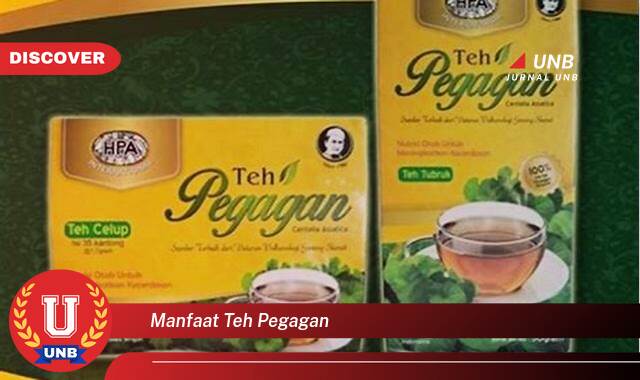 Temukan 9 Manfaat Teh Pegagan untuk Kesehatan Tubuh dan Kulit Anda