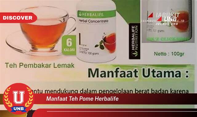 8 Manfaat manfaat teh pome herbalife yang tidak Semua Orang Tau