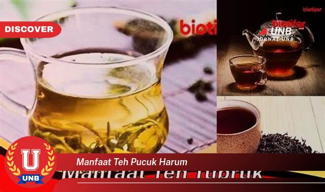 10 Manfaat Teh Pucuk Harum yang Wajib Kamu Intip