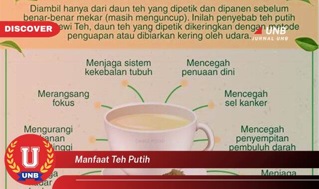 Temukan 9 Manfaat Teh Putih untuk Kesehatan, Kecantikan, dan Cara Mengolahnya