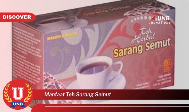 8 Manfaat Teh Sarang Semut yang Jarang Diketahui