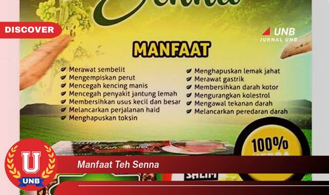 Inilah 8 Manfaat manfaat teh senna yang Wajib Kamu Intip